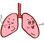 呼吸する左右の肺